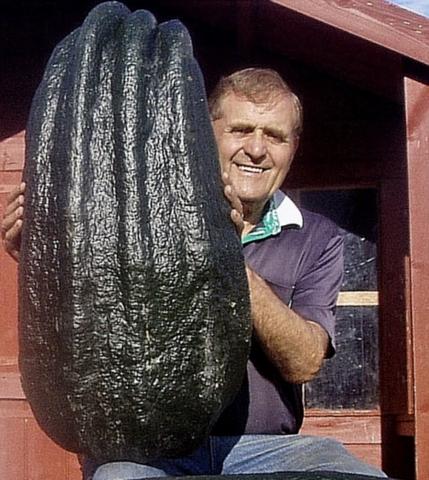 giant-vegetable-1