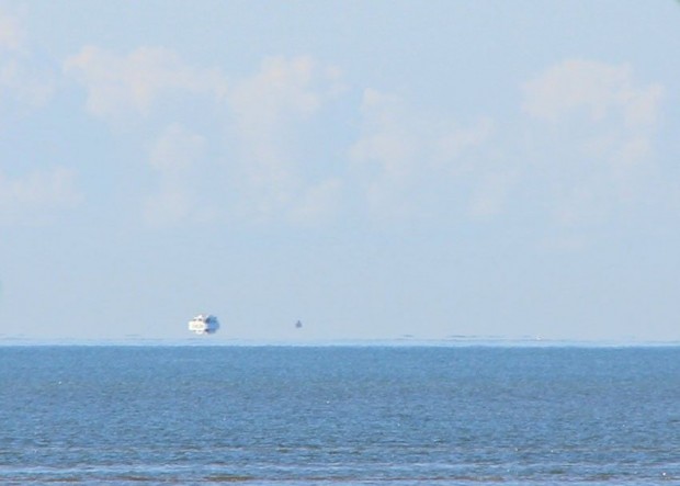 34766_ftomorg-850x607