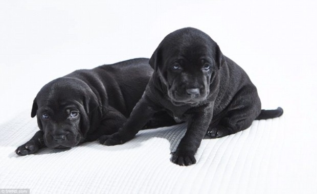 b38b975c381d0934816086389c9d4e18