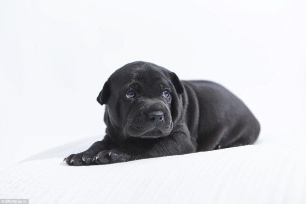 cebfa7e8338a7a0f94a0214154a0c3f0