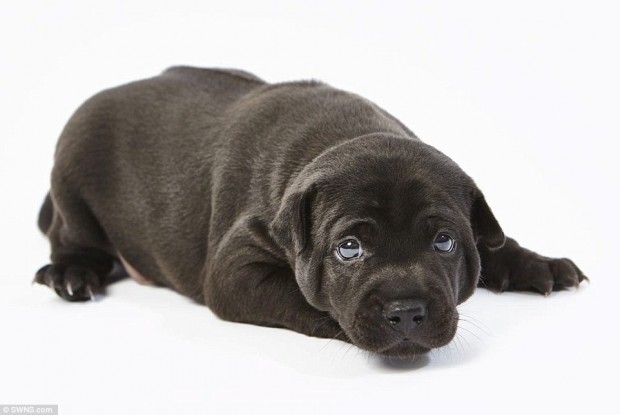 cf6f47488aaa152652bedf06cb3c26f6