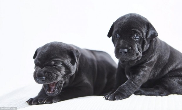 d13b8e5a1f5c081c84a0e81c7fbbdc9e